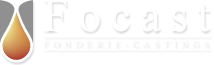 Logo Focast Lüneburg